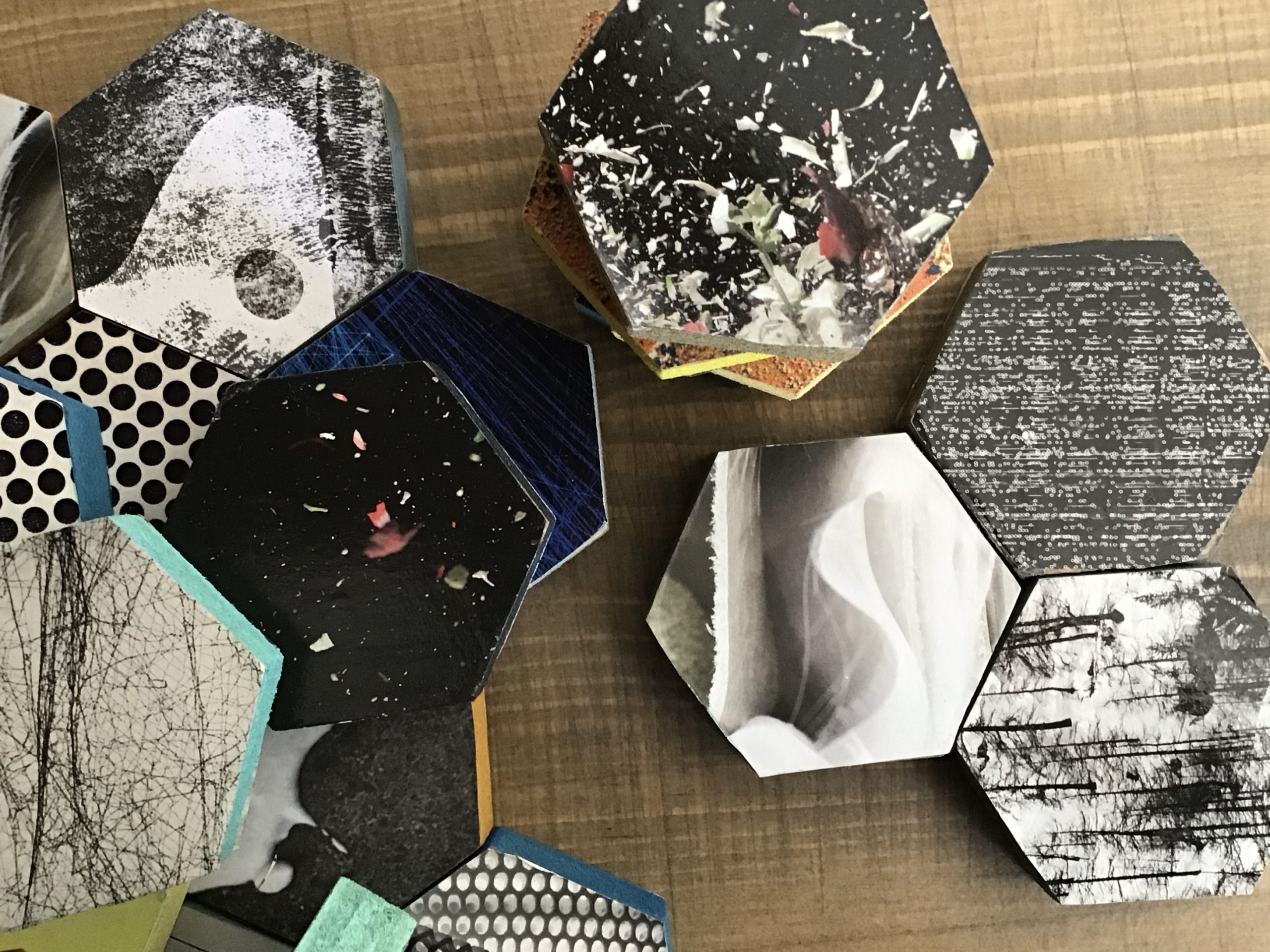 Trihexagonal Bricks Hexagonal Bricks | A Sanctuary Planted